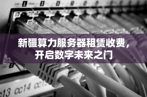新疆算力服务器租赁收费，开启数字未来之门