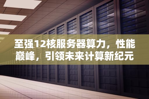 至强12核服务器算力，性能巅峰，引领未来计算新纪元