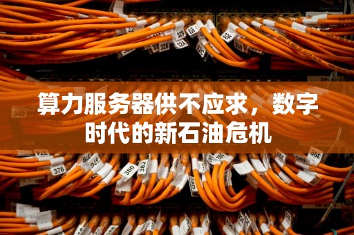 算力服务器供不应求，数字时代的新石油危机