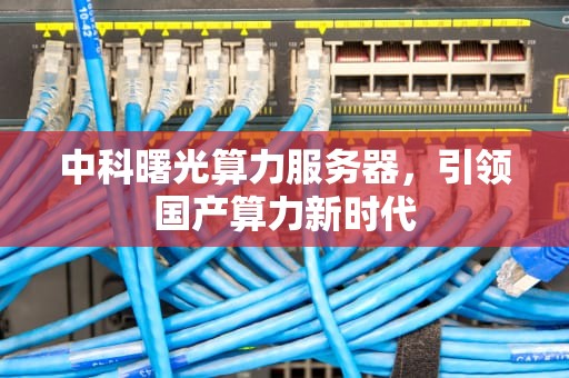 中科曙光算力服务器，引领国产算力新时代