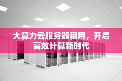大算力云服务器租用，开启高效计算新时代