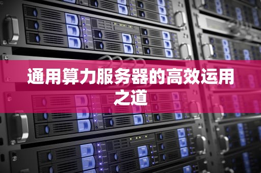 通用算力服务器的高效运用之道