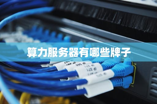 算力服务器有哪些牌子