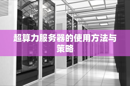超算力服务器的使用方法与策略