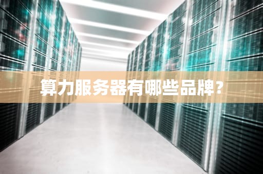 算力服务器有哪些品牌？