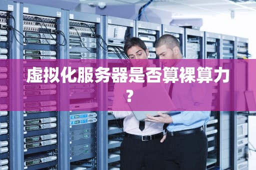 虚拟化服务器是否算裸算力？