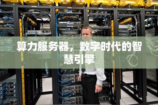 算力服务器，数字时代的智慧引擎