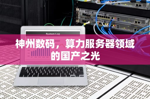 神州数码，算力服务器领域的国产之光