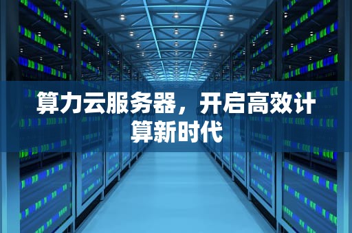 算力云服务器，开启高效计算新时代