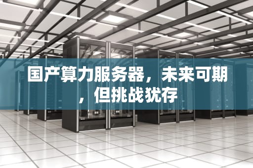 国产算力服务器，未来可期，但挑战犹存