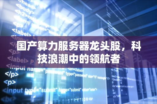 国产算力服务器龙头股，科技浪潮中的领航者