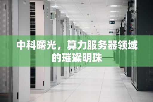中科曙光，算力服务器领域的璀璨明珠