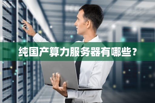 纯国产算力服务器有哪些？
