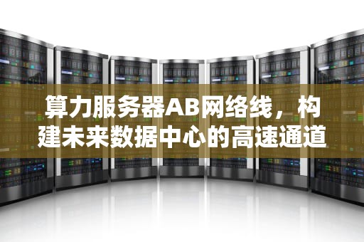算力服务器AB网络线，构建未来数据中心的高速通道