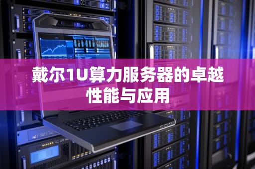 戴尔1U算力服务器的卓越性能与应用