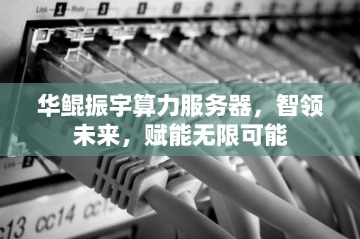 华鲲振宇算力服务器，智领未来，赋能无限可能