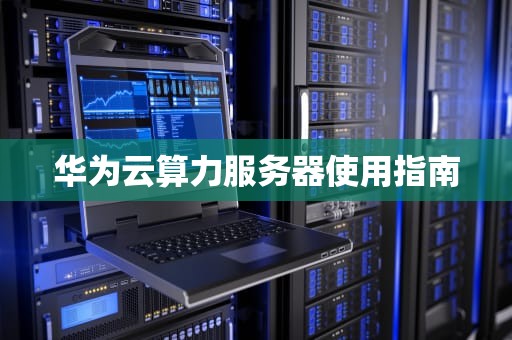 华为云算力服务器使用指南
