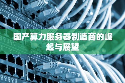 国产算力服务器制造商的崛起与展望