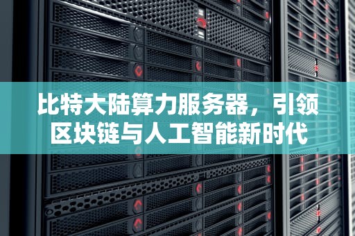 比特大陆算力服务器，引领区块链与人工智能新时代