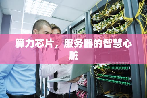 算力芯片，服务器的智慧心脏