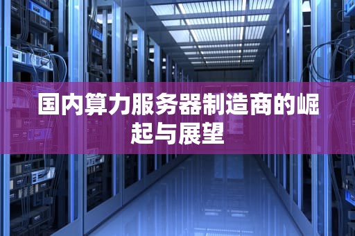 国内算力服务器制造商的崛起与展望