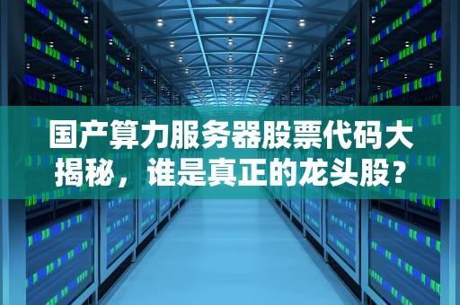 国产算力服务器股票代码大揭秘，谁是真正的龙头股？