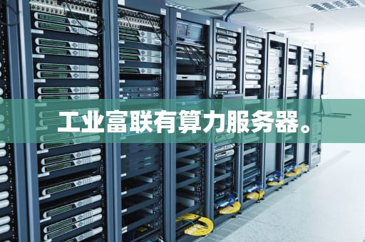 工业富联有算力服务器。