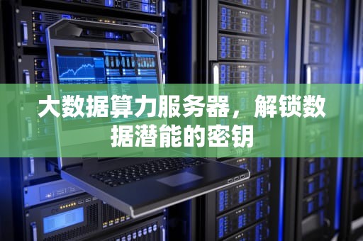 大数据算力服务器，解锁数据潜能的密钥