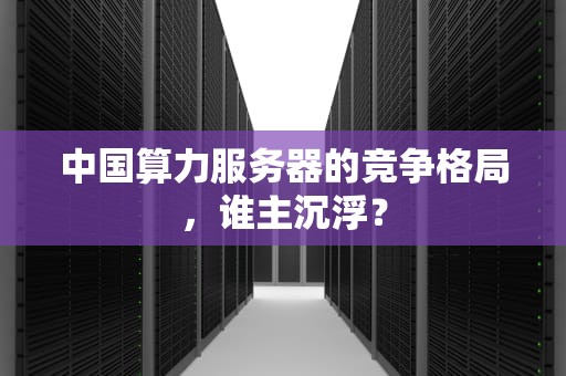 中国算力服务器的竞争格局，谁主沉浮？