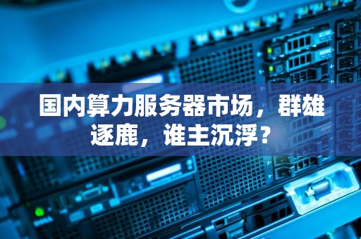 国内算力服务器市场，群雄逐鹿，谁主沉浮？