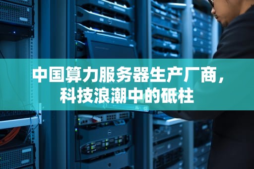 中国算力服务器生产厂商，科技浪潮中的砥柱