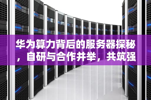华为算力背后的服务器探秘，自研与合作并举，共筑强大算力基石