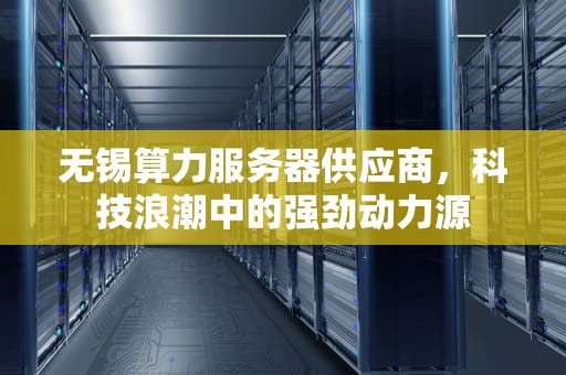 无锡算力服务器供应商，科技浪潮中的强劲动力源