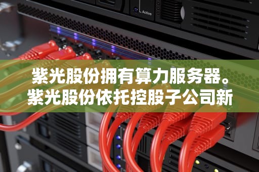 紫光股份拥有算力服务器。紫光股份依托控股子公司新华三等核心企业，在算力基础设施领域深入布局，提供全面的算力服务器产品与解决方案。