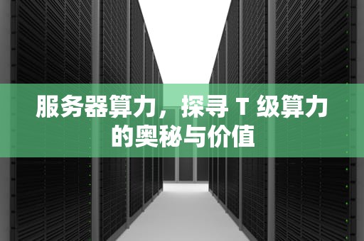 服务器算力，探寻 T 级算力的奥秘与价值