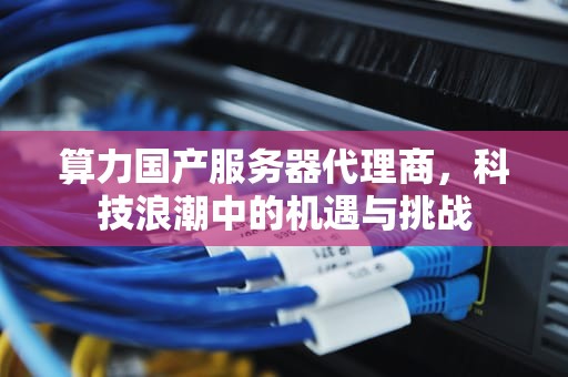 算力国产服务器代理商，科技浪潮中的机遇与挑战
