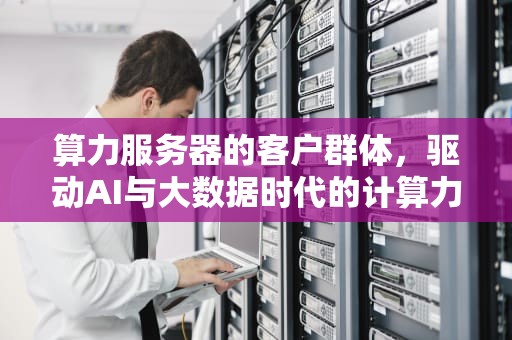 算力服务器的客户群体，驱动AI与大数据时代的计算力量