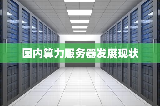 国内算力服务器发展现状