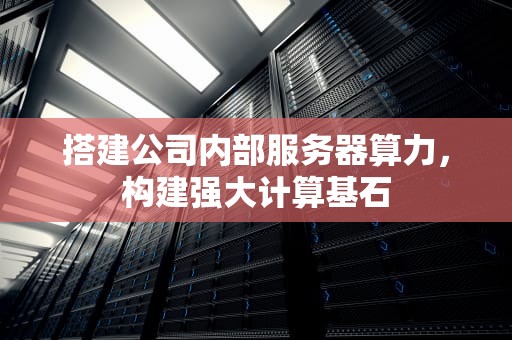 搭建公司内部服务器算力，构建强大计算基石