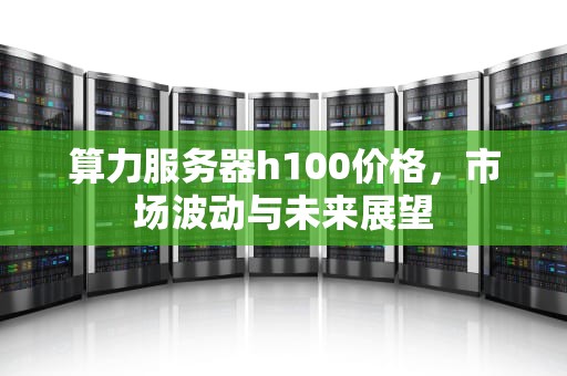 算力服务器h100价格，市场波动与未来展望