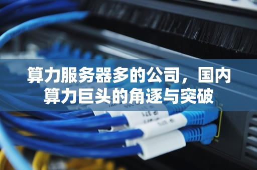 算力服务器多的公司，国内算力巨头的角逐与突破