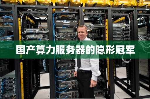 国产算力服务器的隐形冠军
