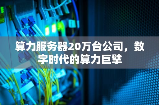 算力服务器20万台公司，数字时代的算力巨擘