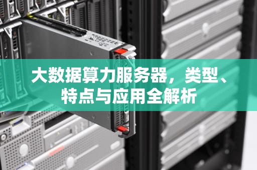大数据算力服务器，类型、特点与应用全解析