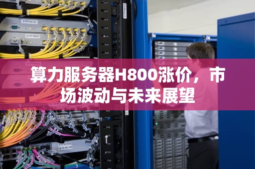 算力服务器H800涨价，市场波动与未来展望