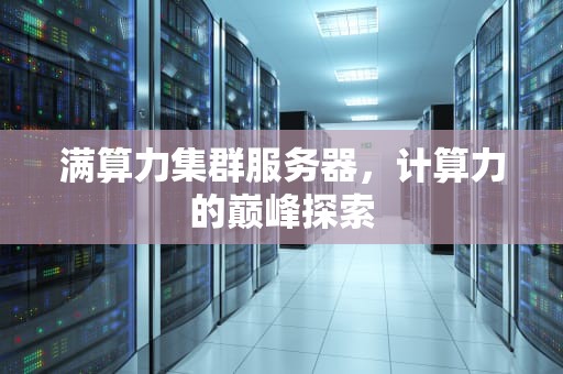 满算力集群服务器，计算力的巅峰探索