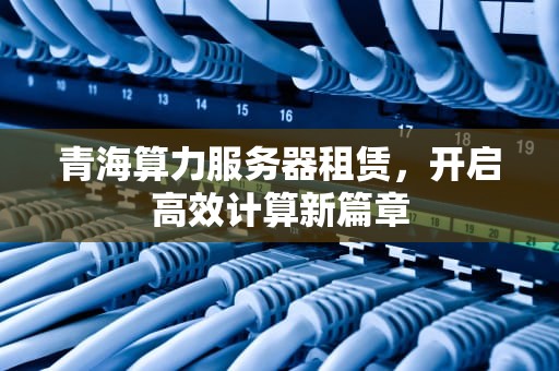 青海算力服务器租赁，开启高效计算新篇章
