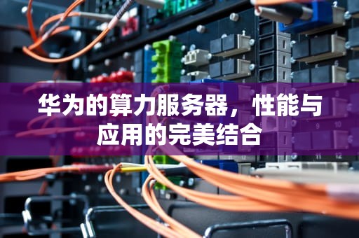 华为的算力服务器，性能与应用的完美结合