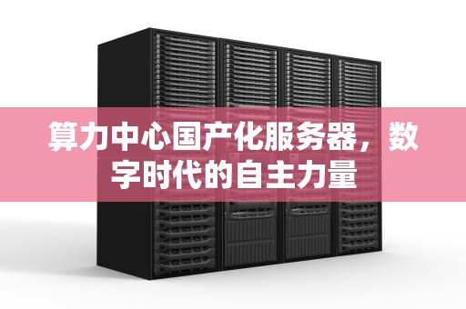 算力中心国产化服务器，数字时代的自主力量