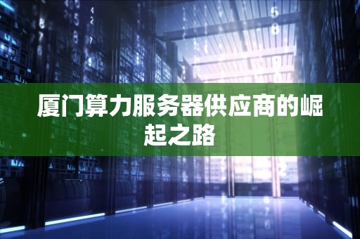 厦门算力服务器供应商的崛起之路